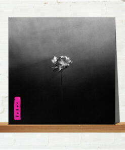 Little Simz – Lotus